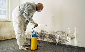 Mold Odor Removal Services in Gering, NE